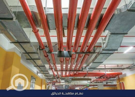 11 WhatsApp Image 2025-12-21 at 12.45. 26 (4). jpeg