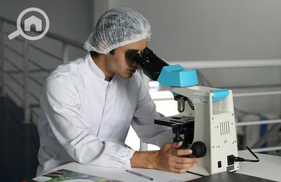 14 WhatsApp Image 2025-12-21 at 12.01. 52 (2). jpeg