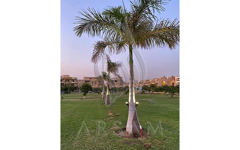 10 WhatsApp Image 2025-11-23 at 6.23. 58 PM (1). JPG