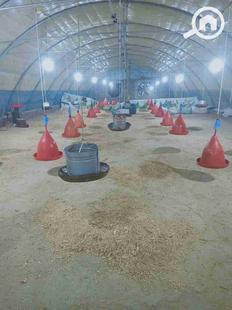 1000089399. jpg 1000089399. jpg