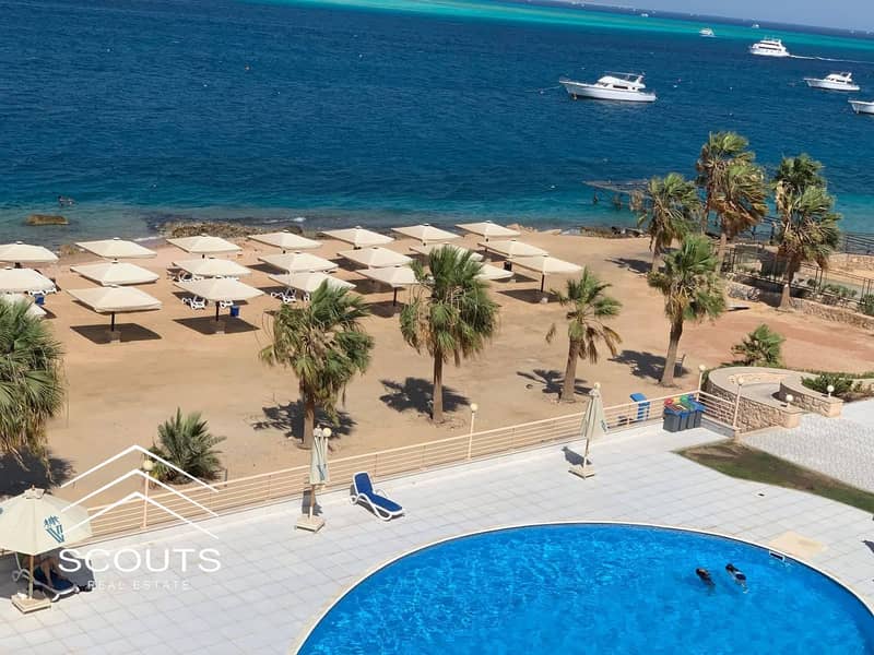 4 582270204_2348334315607075_4610676297003776870_n. jpg