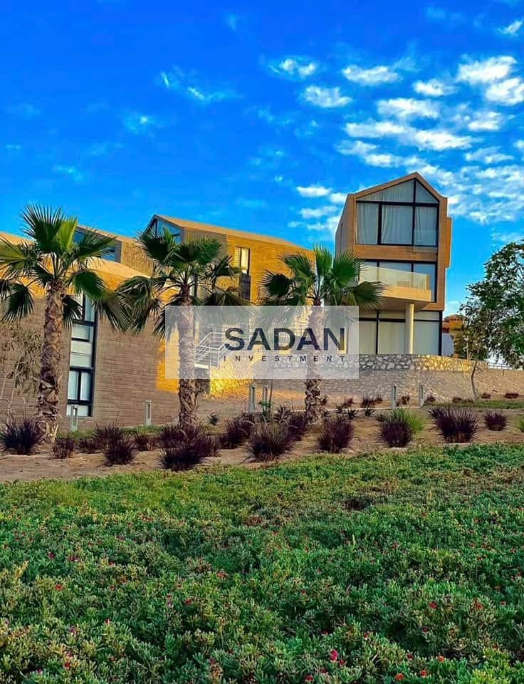 3 472772407_1160334775651276_7195808895737923426_n. jpg