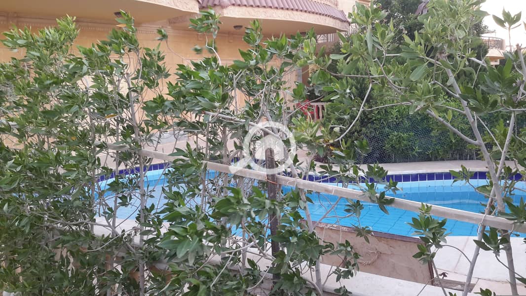 5 20140918_182532. jpg