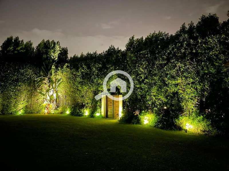 4 65db6fe6-cf82-47a2-bc84-b77c47484aba. jpeg