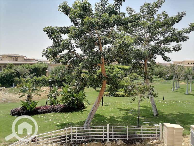 2 48c9a9f9-9e28-4d10-b366-fed7de7ed67f. jpg