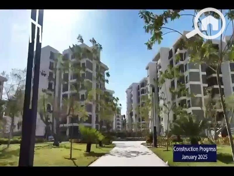 4 vlcsnap-2025-01-15-15h53m47s150. jpg