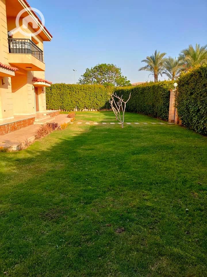 11 210741725_1001362413989341_1220276726837673690_n. jpg