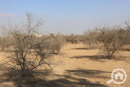 Residential Land for Sale in Sheikh Zayed, Giza - 1. jpg