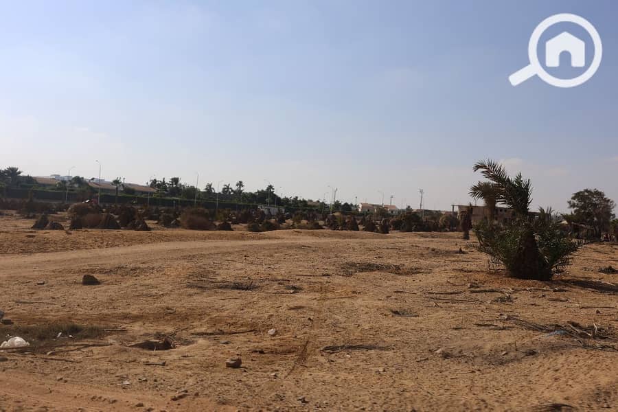 4 WhatsApp Image 2025-11-01 at 12.44. 00_bedb1aab. jpg