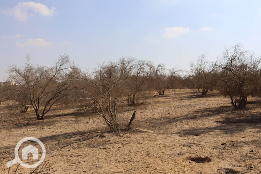 6 WhatsApp Image 2025-11-01 at 12.44. 01_acc6bede. jpg