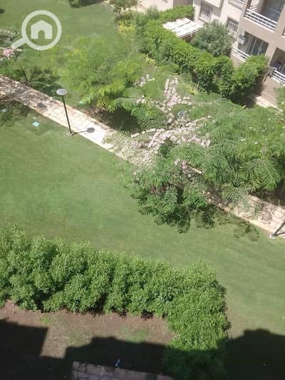 3 Bedroom Flat for Rent in Madinaty, Cairo - 7d3b293d-dd67-45f9-b7d8-cd455f7184f9. jpg