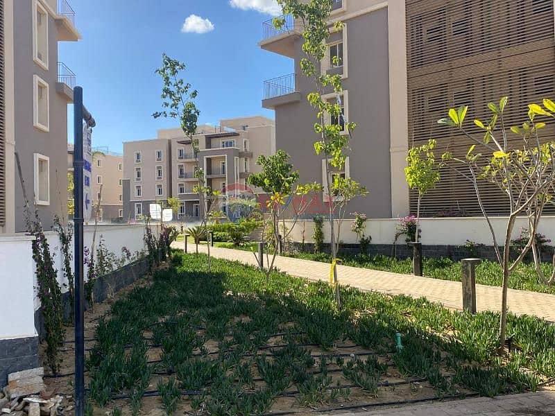 7 49617995-c9b5-4dd5-85ee-7956ce7e72cb. jfif. jpg