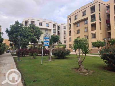 3 Bedroom Flat for Rent in New Cairo, Cairo - 1000115749. jpg