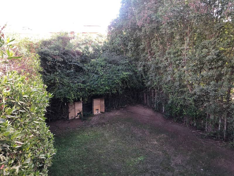 3 7d89912a-03d6-4960-925c-29918507f951. jpg