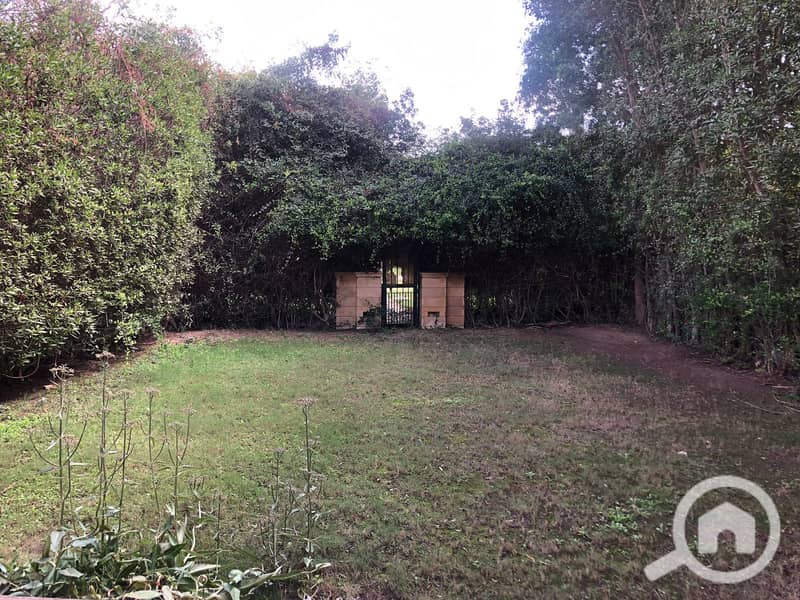 5 38c21c61-ec2c-4460-b490-5f63c8b79696. jpg