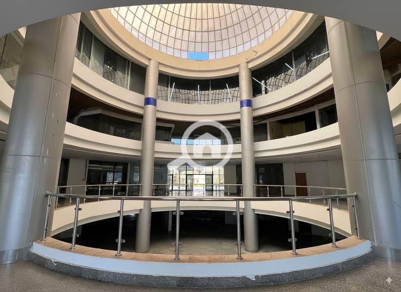 8 Generated Image September 23, 2025 - 2_06PM. png