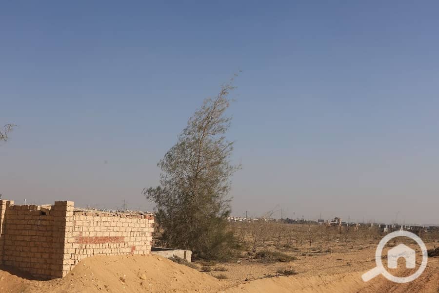 10 WhatsApp Image 2025-12-07 at 13.17. 11_1f8173b4. jpg