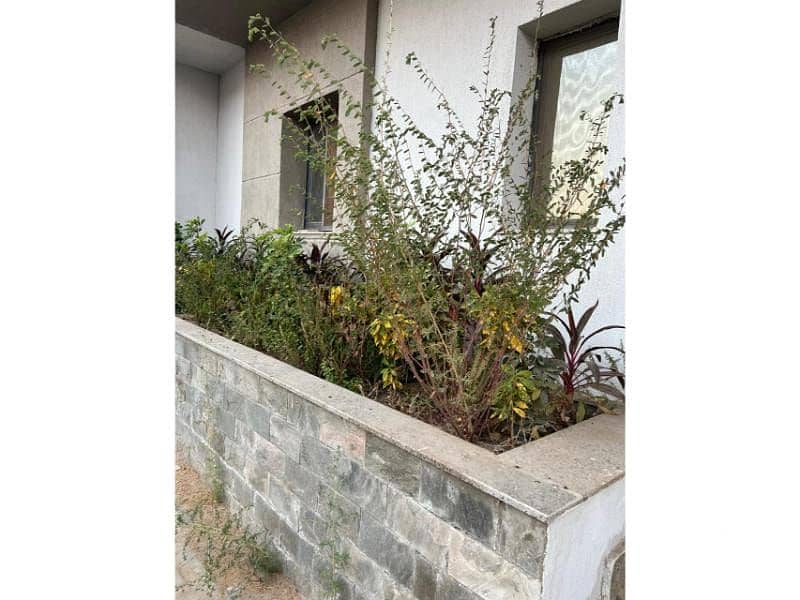 4 WhatsApp Image 2025-02-27 at 16.02. 01_91ce409c. jpg