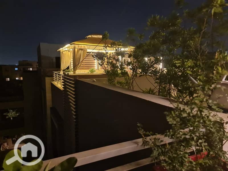 11 886abd39-a3ae-4b80-9384-26766b684e0f. jpg