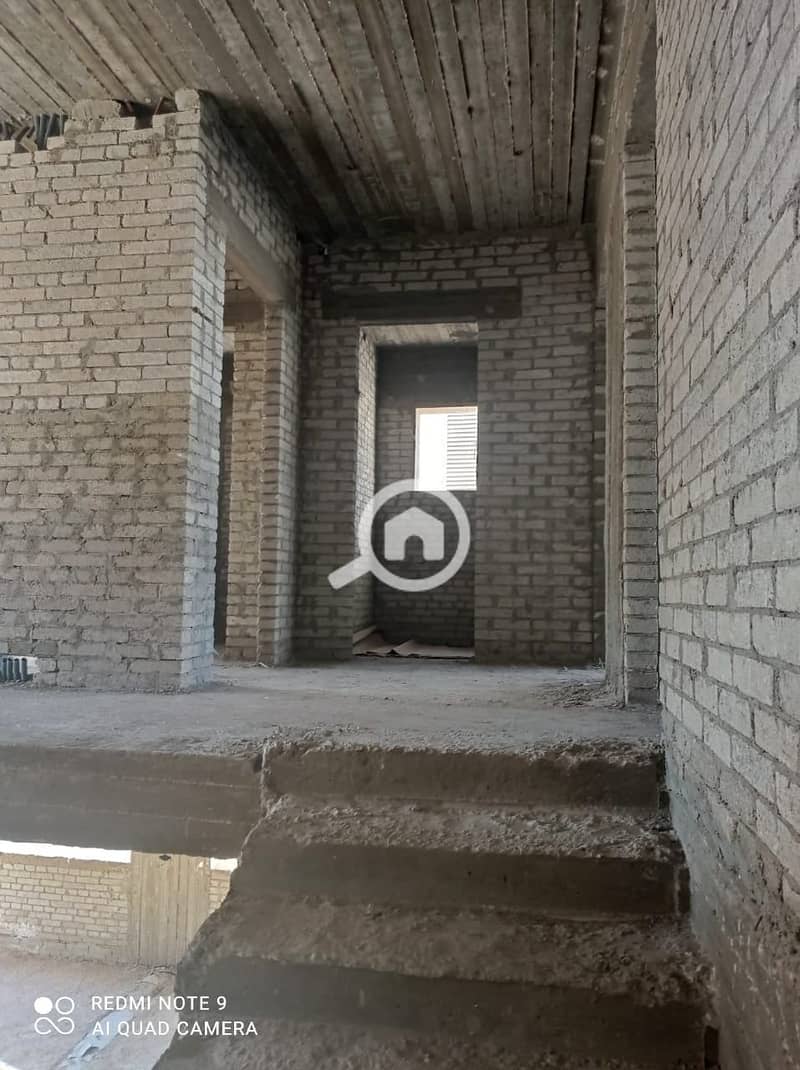 4 236678731_1034285150697067_9185728384729847294_n. jpg