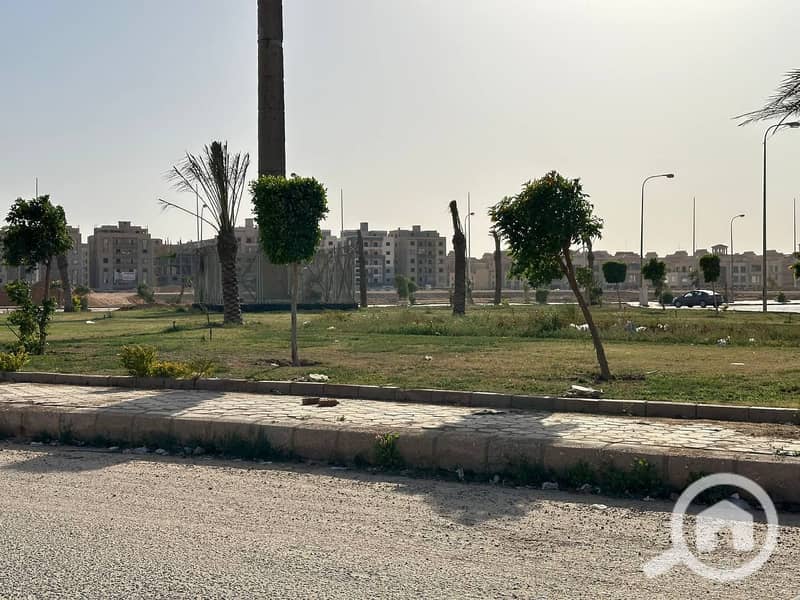 6 355b3ab1-4de0-4c65-9a0e-4ea4a6672b70. jpg