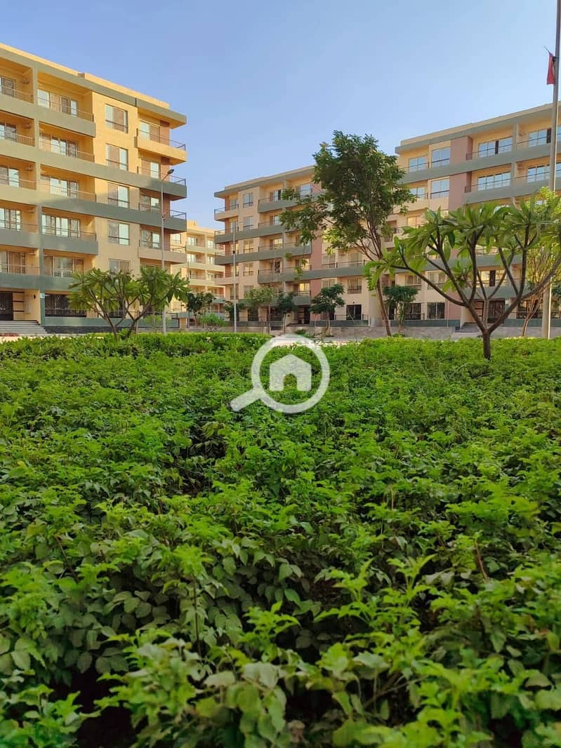 7 1888d314-157b-4e73-8780-0116e5a794e0. jpeg