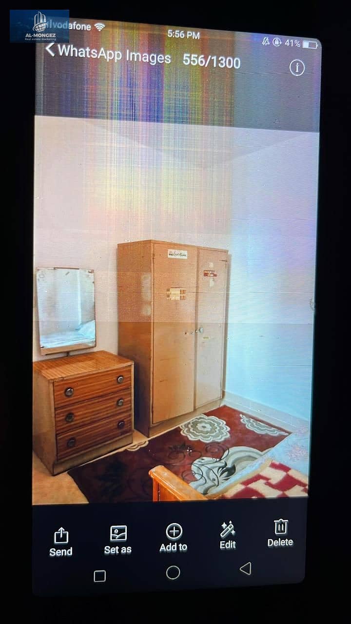 5 WhatsApp Image 2026-01-01 at 2.44. 49 PM (1). jpeg