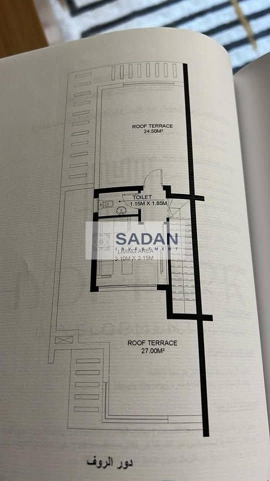 13 601865912_839549375595387_785293179484057106_n. jpg