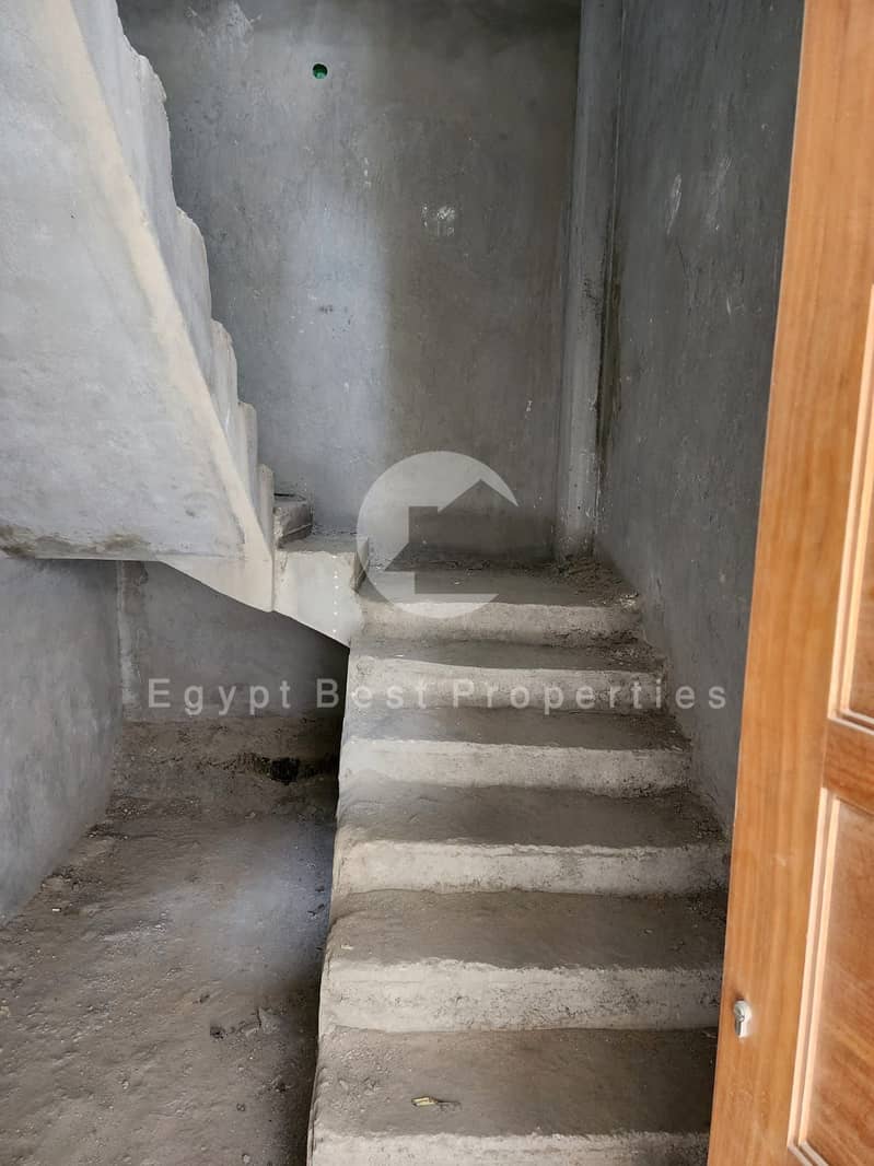 7 WhatsApp_Image_2024-10-10_at_09.52. 59_94935516. jpg