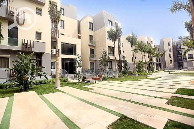 10 491657961_1028025755933239_1414092085122632436_n. jpg