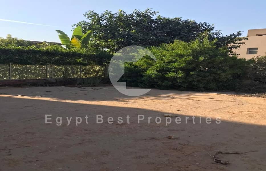 4 WhatsApp Image 2025-12-23 at 14.53. 05_d39352ff. jpg