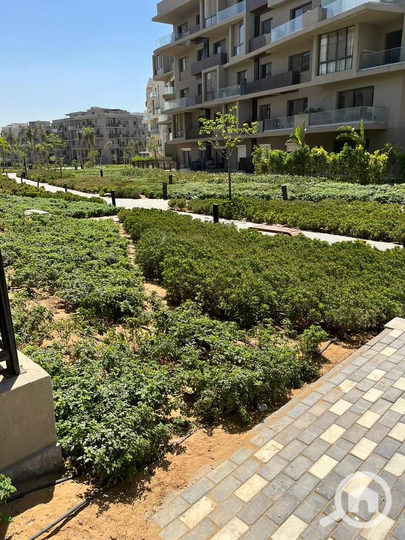 2 WhatsApp Image 2025-09-03 at 5.08. 54 PM. jpeg