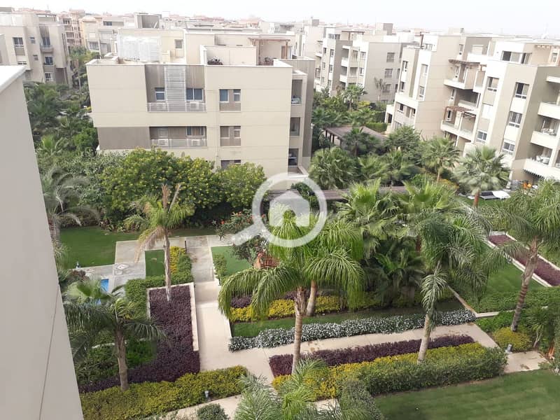 5 48369987_2159467544076498_1065475523783688192_n. jpg