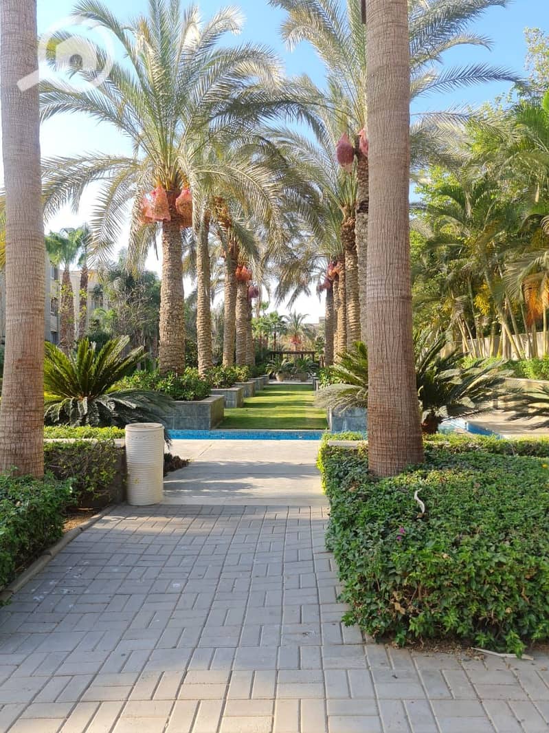 17 WhatsApp Image 2025-08-18 at 10.24. 04 PM (1). jpeg