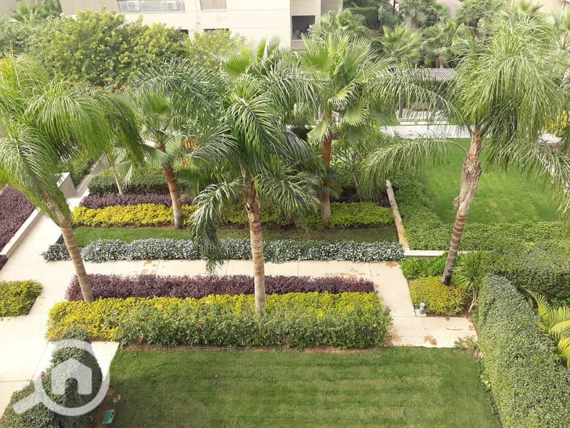 18 48367060_323056718312033_6921724291566272512_n. jpg