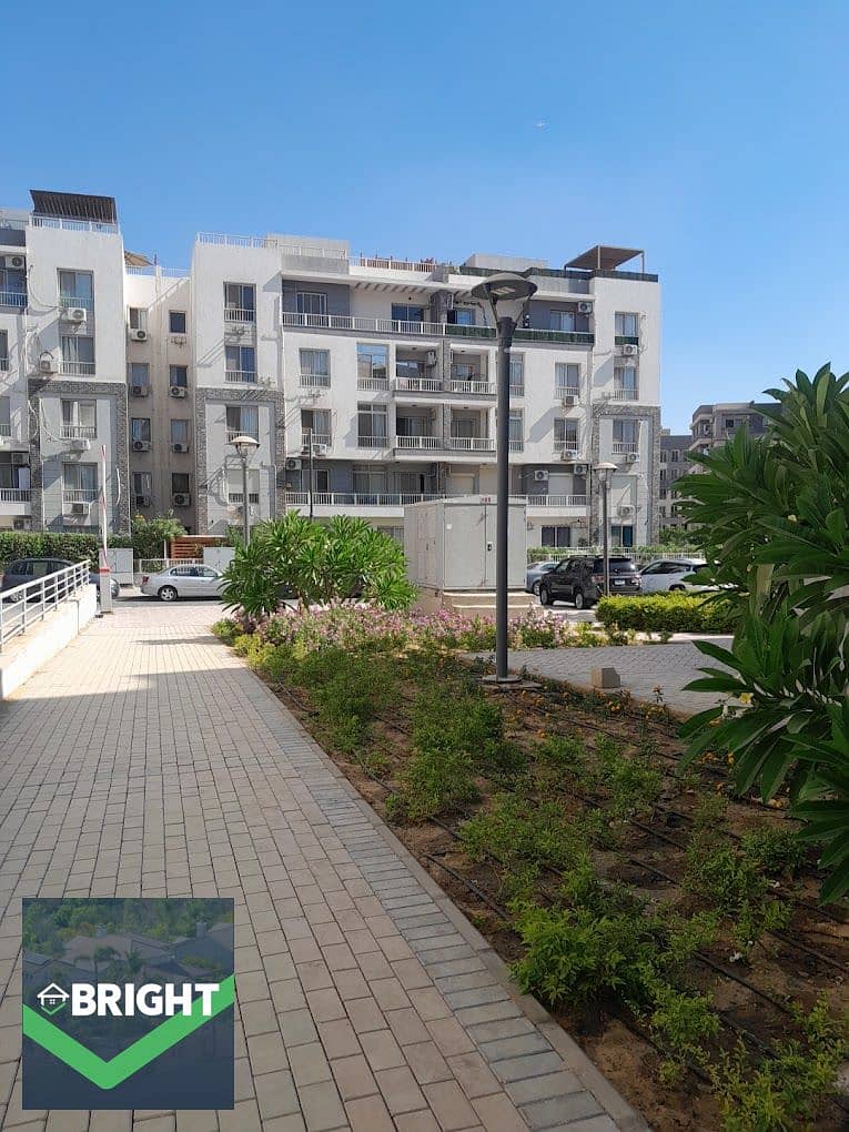 2 IMG-20250508-WA0008. jpg