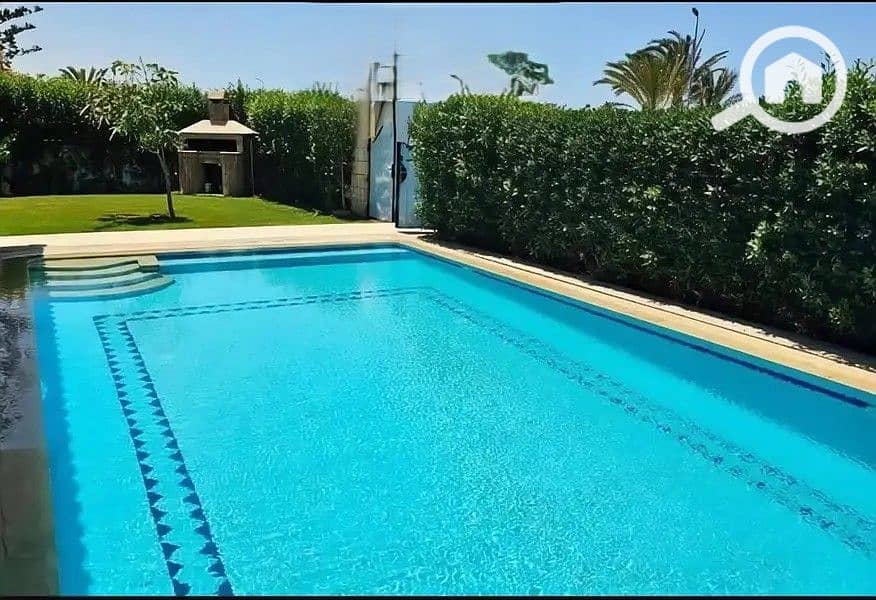 2 32901698-800x600. jpg