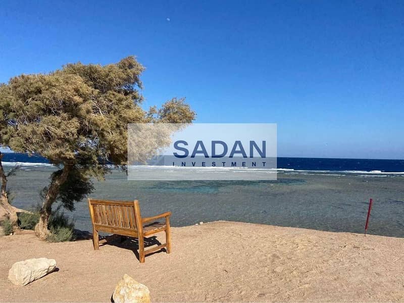 11 597679226_122204941076302548_8647263742726839685_n. jpg