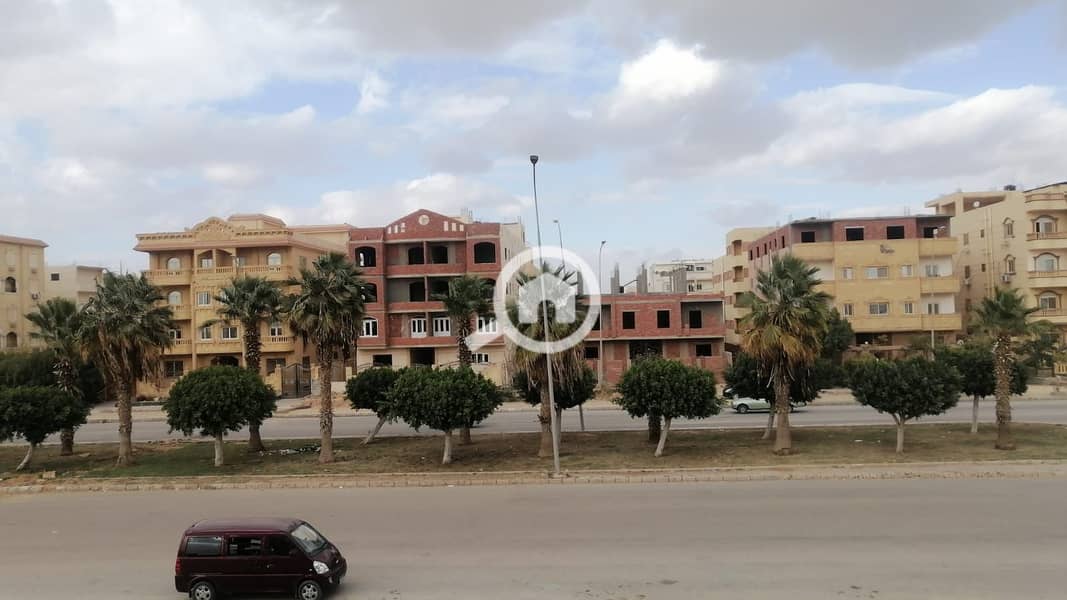 12 WhatsApp Image 2026-01-01 at 10.17. 49 AM (1). jpeg