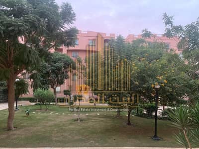 فلیٹ 2 غرفة نوم للايجار في القاهرة الجديدة، القاهرة - 6d8a86f9-2ce0-4d7a-beac-a8d7acbd4e13 - Copy. jpg