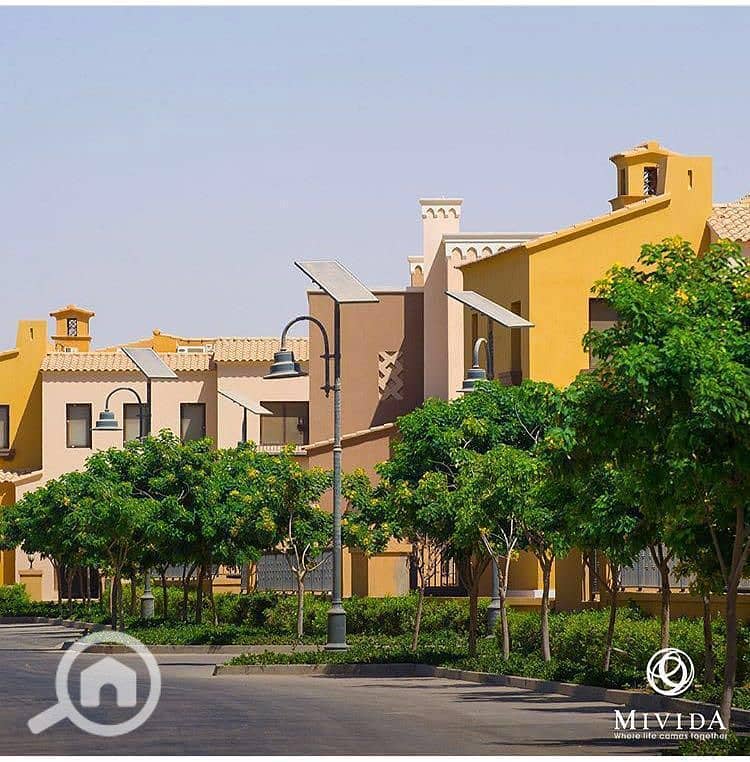 3 WhatsApp Image 2025-09-29 at 15.37. 35_12838bdd. jpg