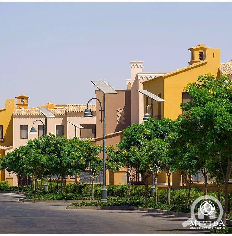 2 WhatsApp Image 2025-09-29 at 15.37. 35_12838bdd. jpg