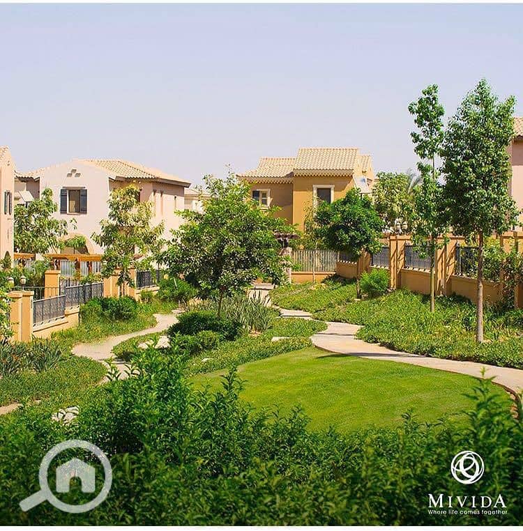 6 WhatsApp Image 2025-09-29 at 15.37. 38_3f601780. jpg