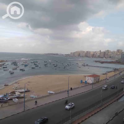 3 Bedroom Apartment for Rent in Miami, Alexandria - 1000280071. jpg