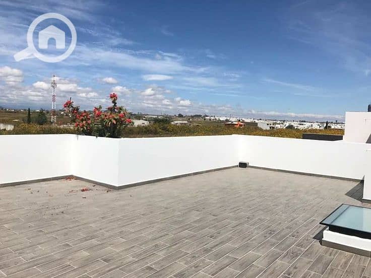 8 download - 2025-12-31T220302.546. jpeg