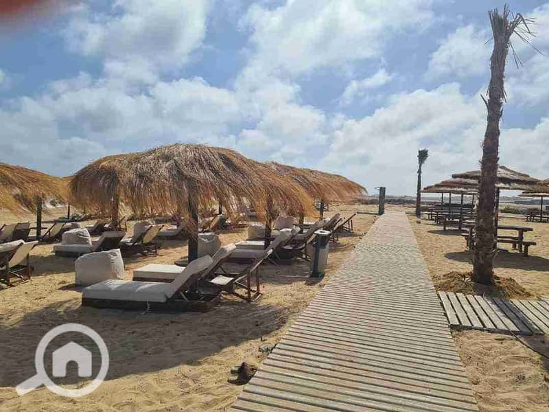 9 FB_IMG_1730418908899. jpg