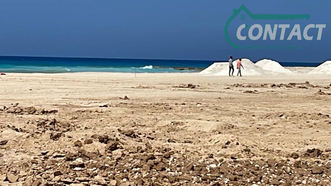 2 2d48f644-3f52-4796-a778-9428f9de276e. jpg