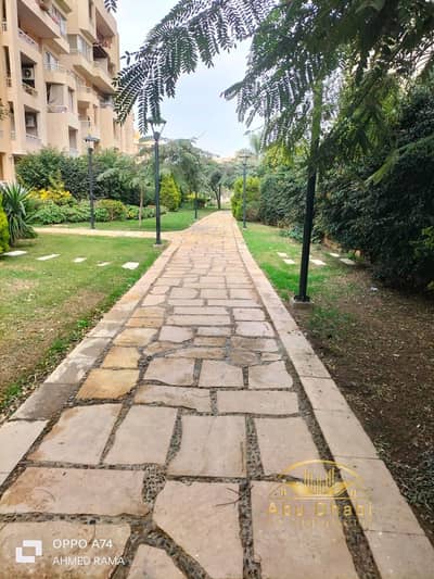 2 Bedroom Flat for Rent in Madinaty, Cairo - 8fac0ecd-cb8f-4518-8690-0e163fddc81b. jpg