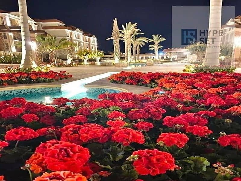 6 734ecb41-5a15-4e0e-8e75-f4a61604f307. jpg