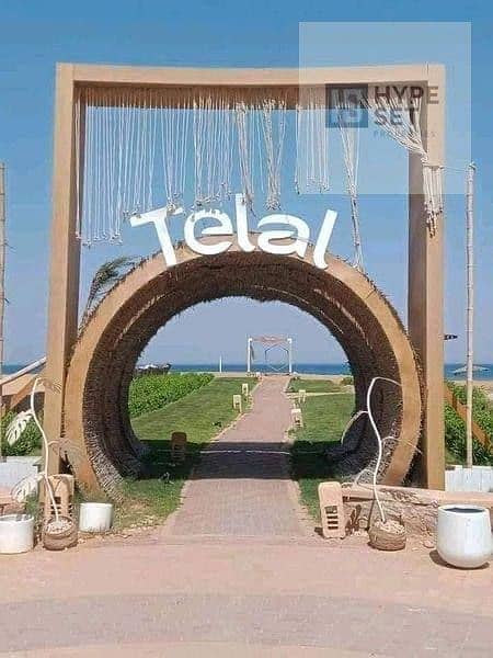 7 5893284838167922142. jpg